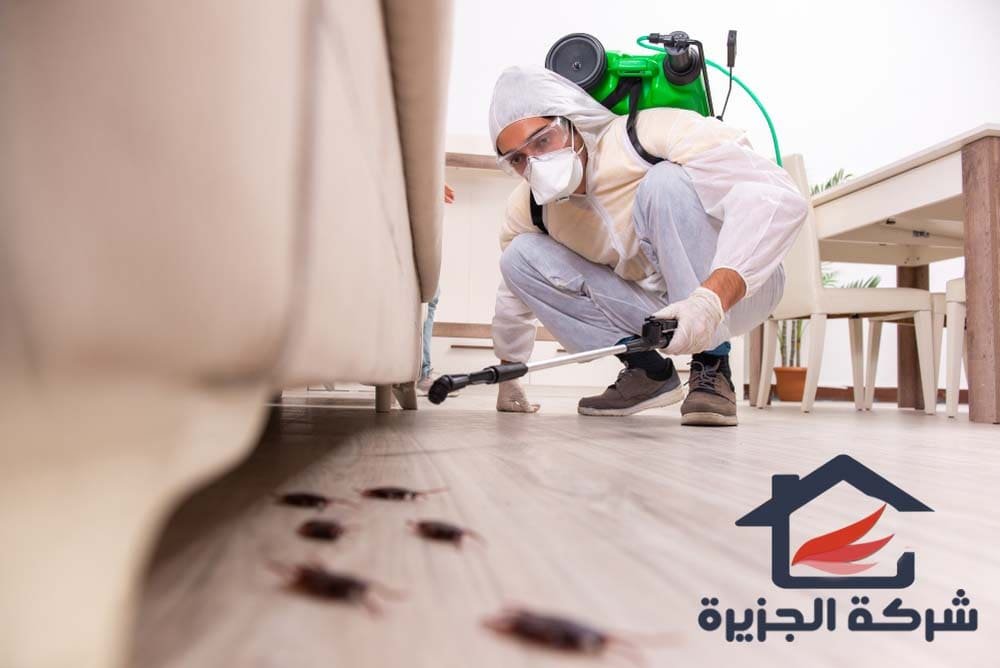 شركة تنظيف منازل بالطائف لتنظيف الصالات والغرف